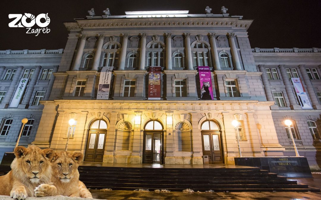 Portreti ugroženih životinja u Mimari