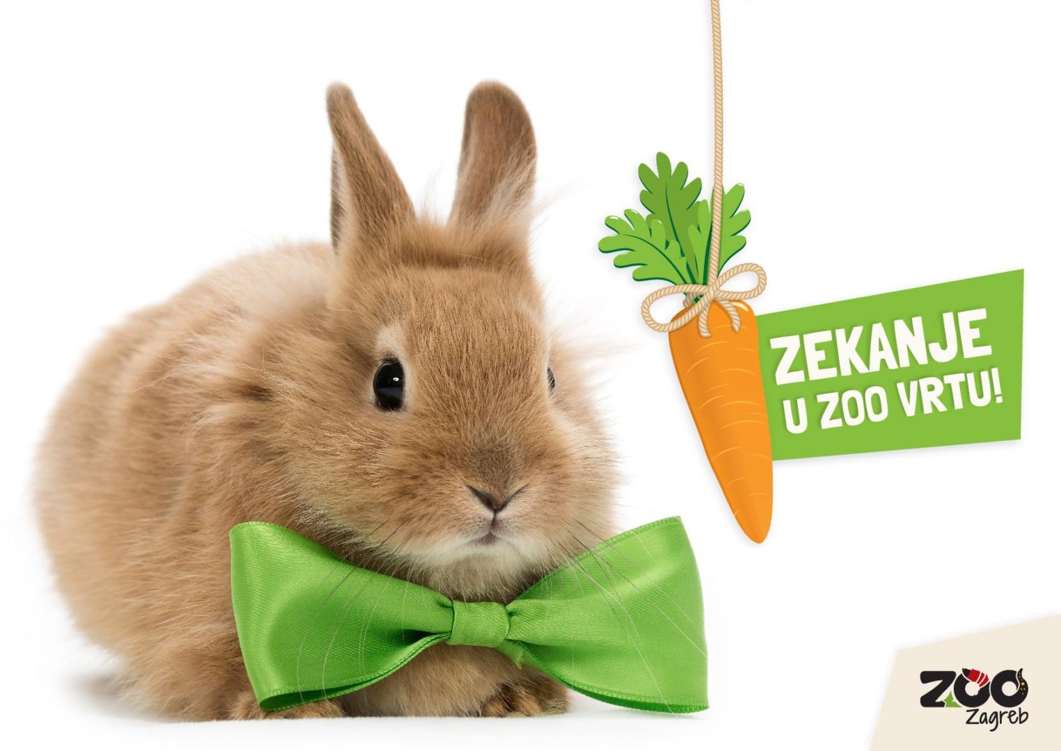 ZEKANJE U ZOOLOŠKOM VRTU!