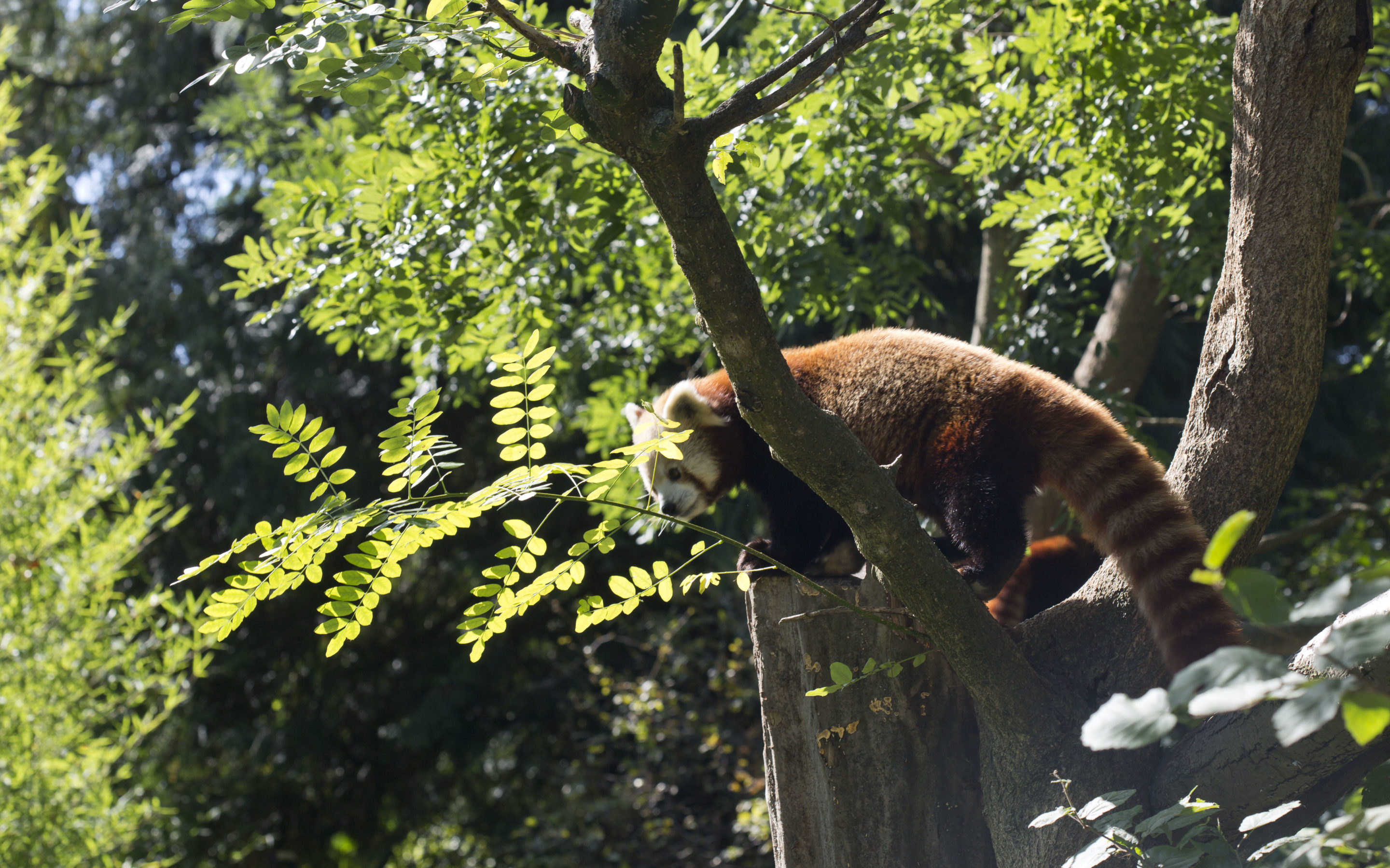 PRILOG ZOO Zagreb trivia