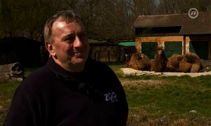 In magazin Nove TV 16.03.2020. – Timaritelj Marijan Bačan