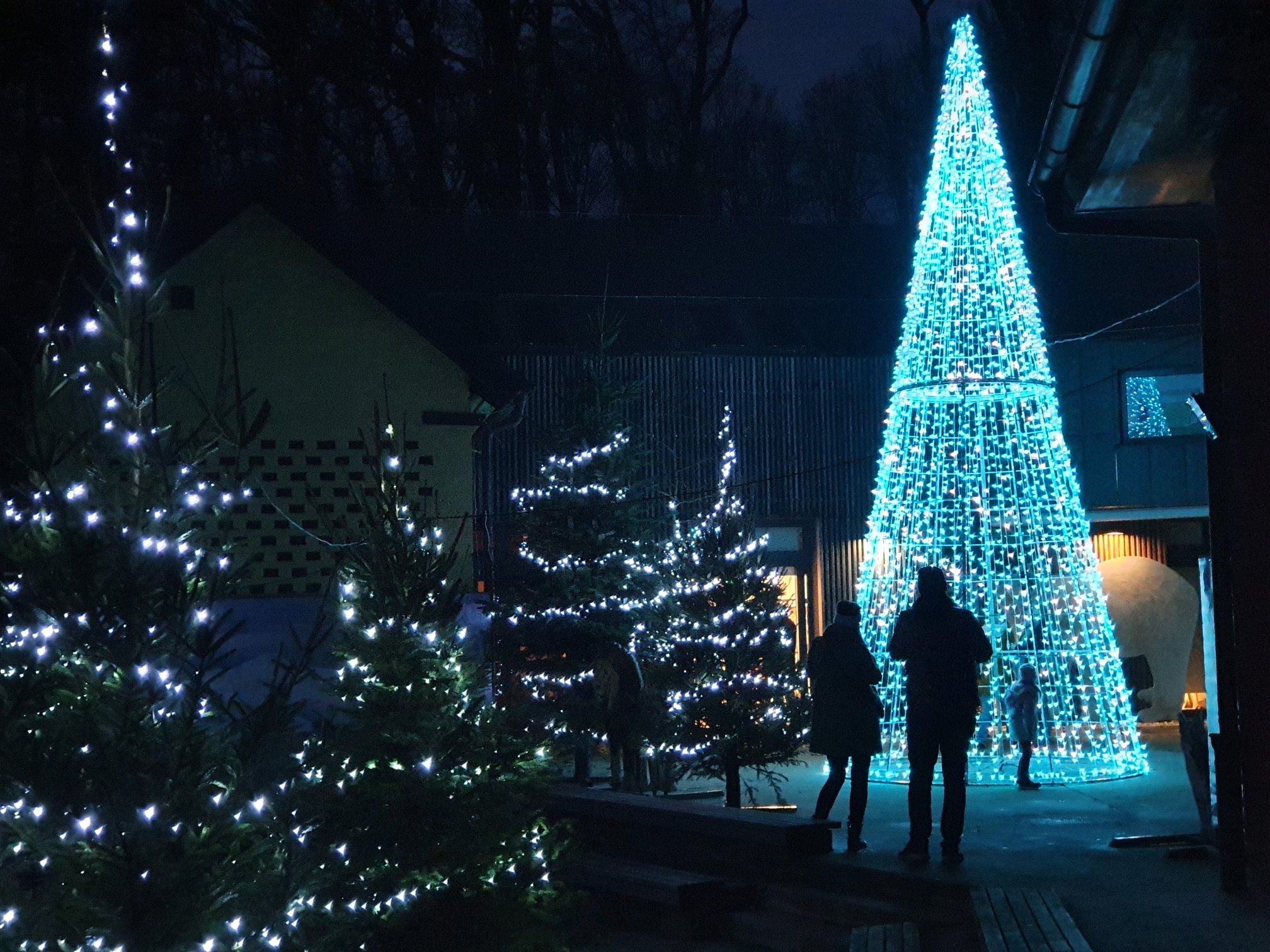 Polarni advent u Divljem srcu grada