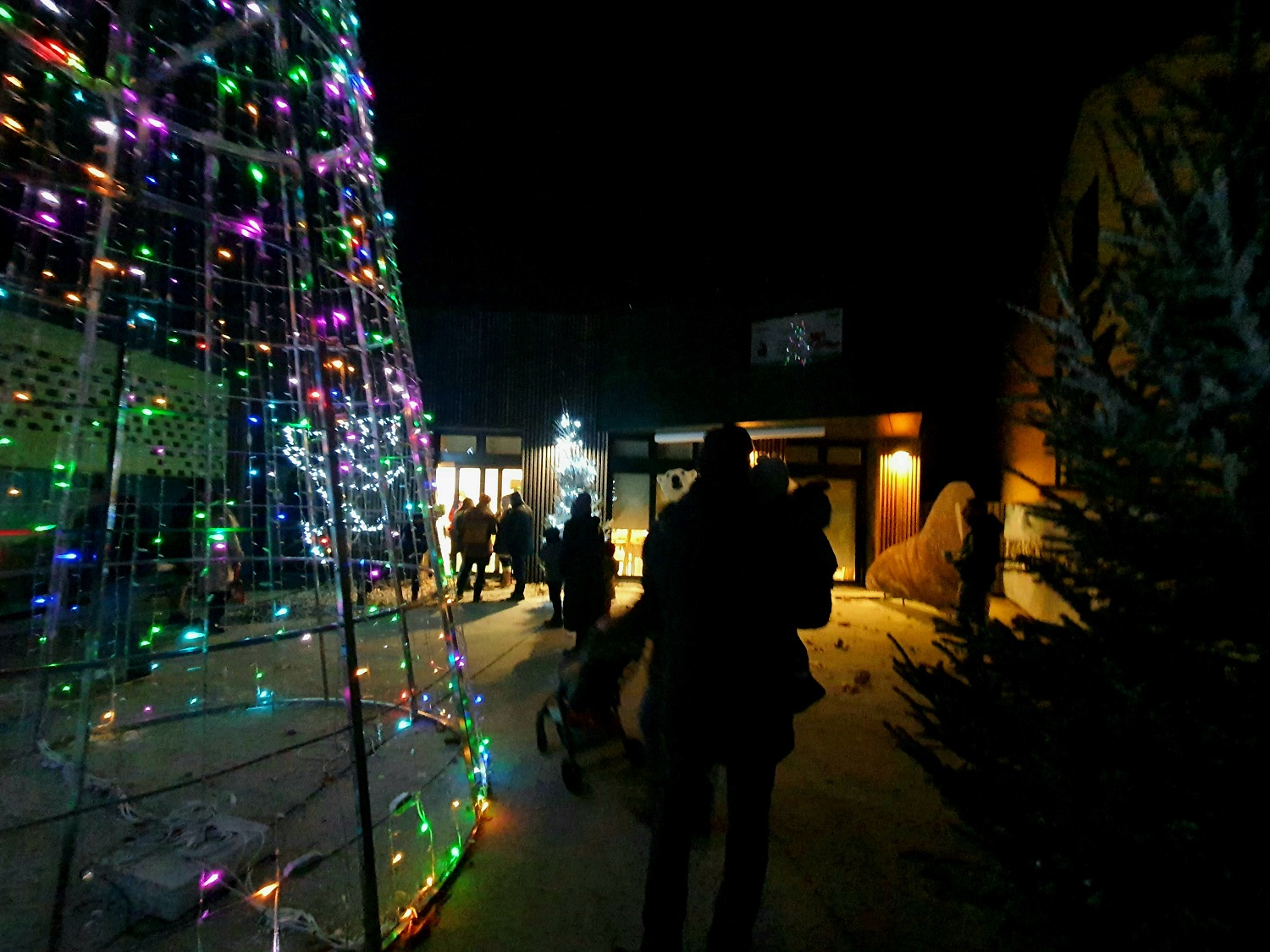 Polarni advent u Divljem srcu grada