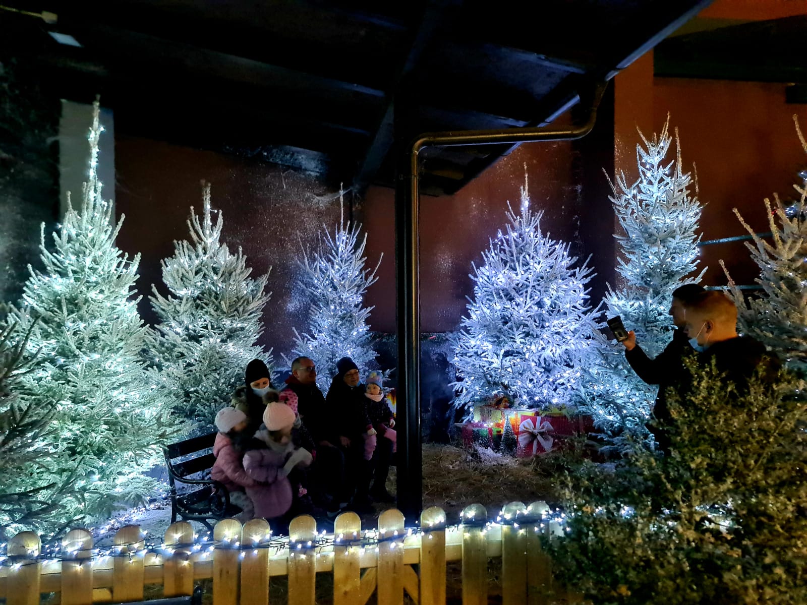 Polarni advent u Divljem srcu grada