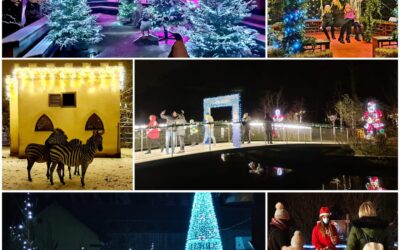 Više od 40.400 građana uživalo u Polarnom adventu u Divljem srcu grada