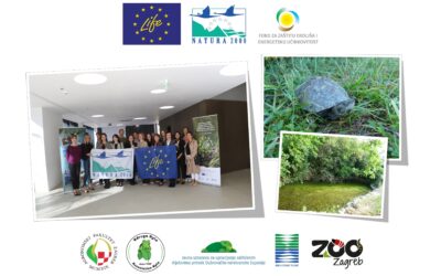 Očuvanje riječne kornjače na jugu Hrvatske