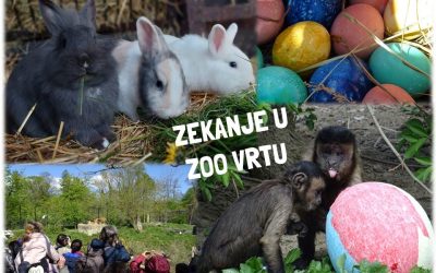 Zekanje u Zoološkom vrtu Grada Zagreba