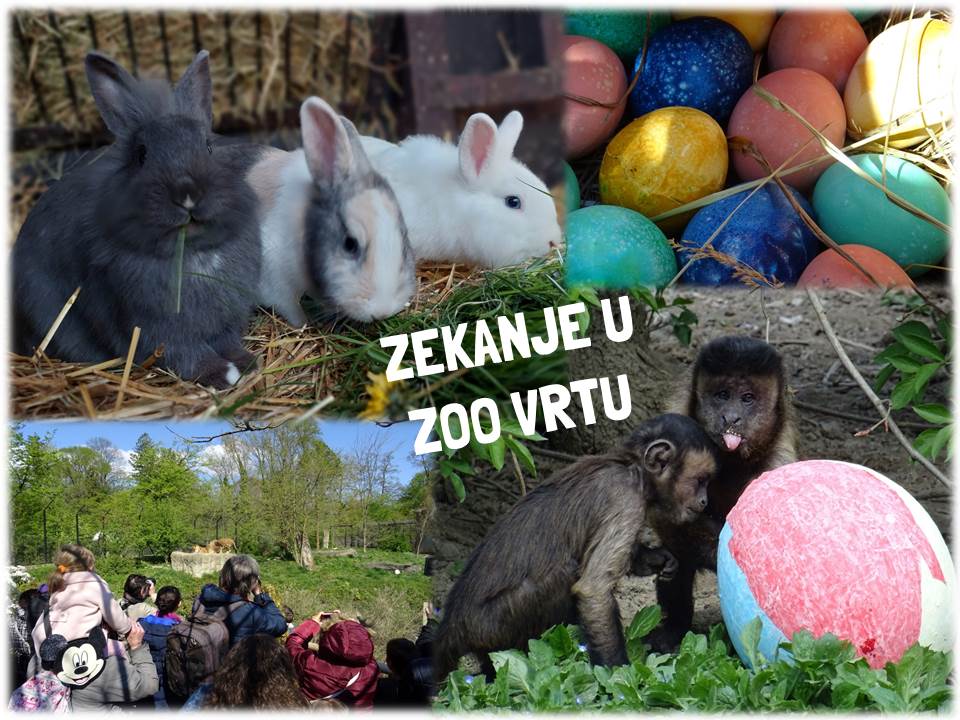 Zekanje u Zoološkom vrtu Grada Zagreba