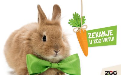 Na Uskrsni ponedjeljak u Zoološkom vrtu Grada Zagreba: Pisanice za životinje i zabava za djecu