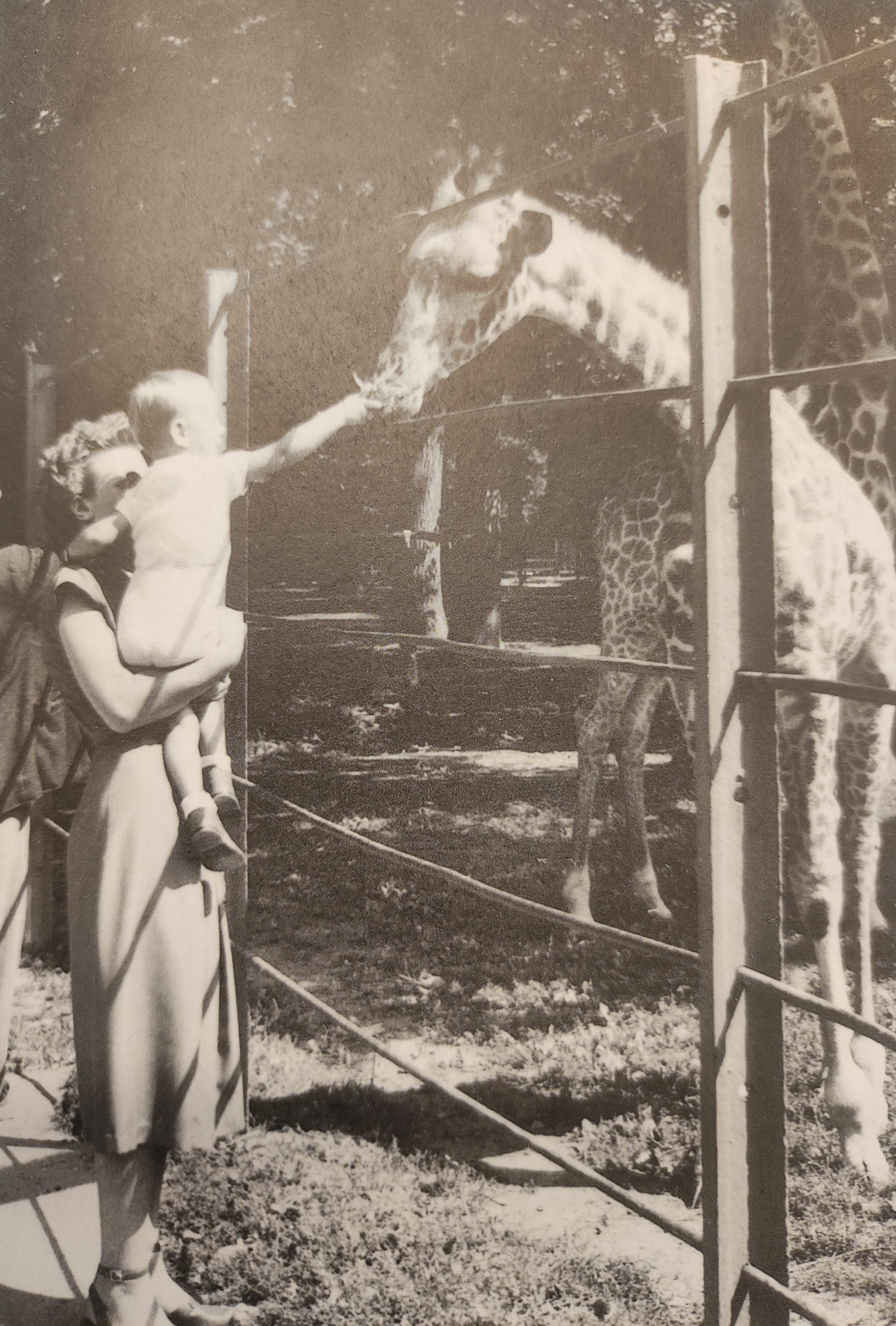1955