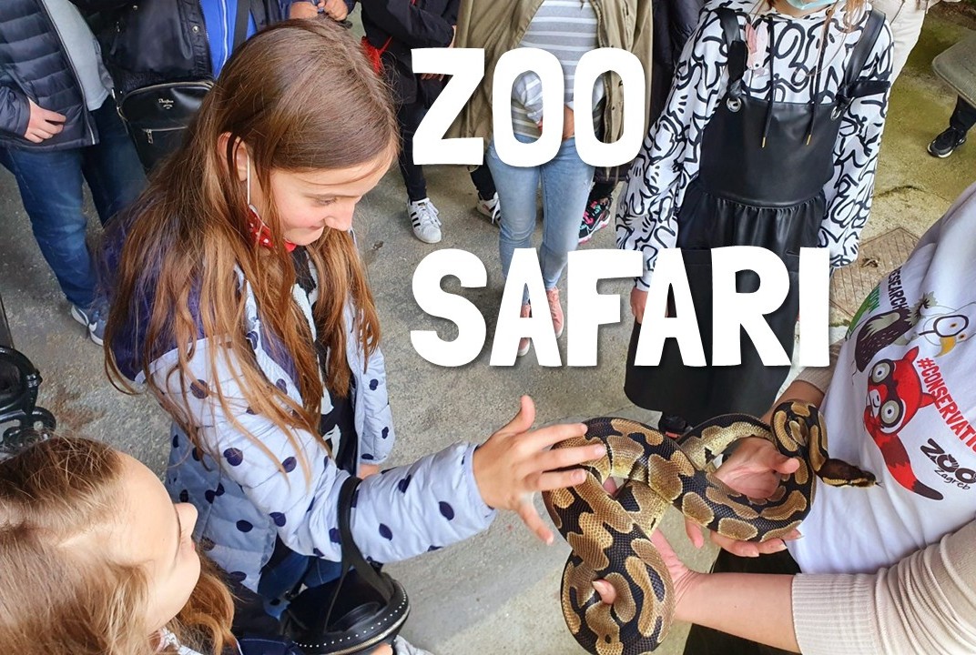 ZOO SAFARI