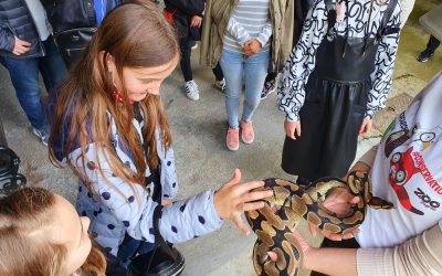 Edukativni program subotom: Zoo safari – upoznavanje životinja, priče starih plemena i nove spoznaje o očuvanju prirode