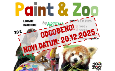 Paint & Zoo