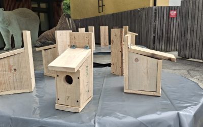 100 kućica za 100 godina