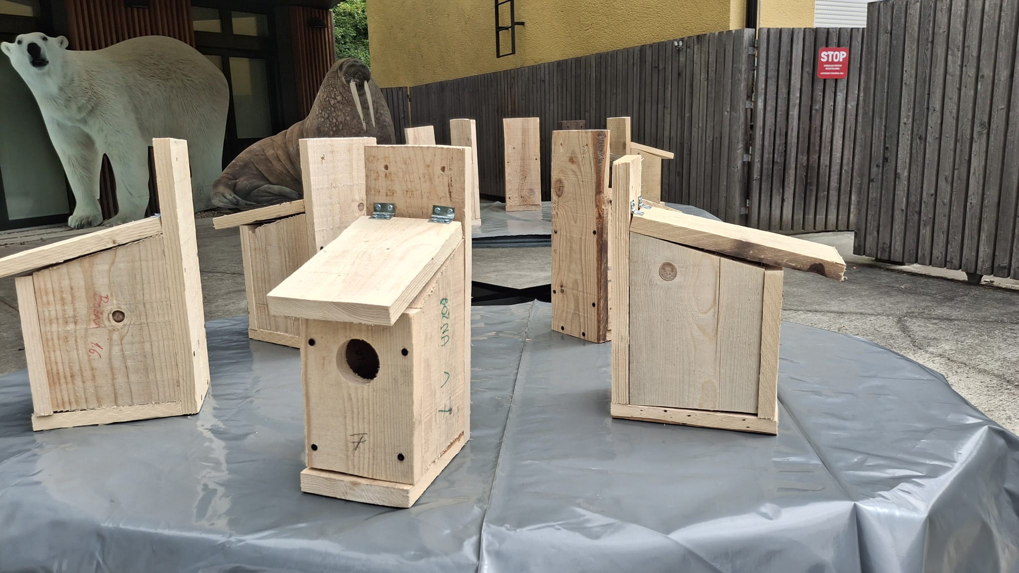 100 kućica za 100 godina