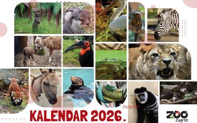 Naš kalendar za 2026. godinu