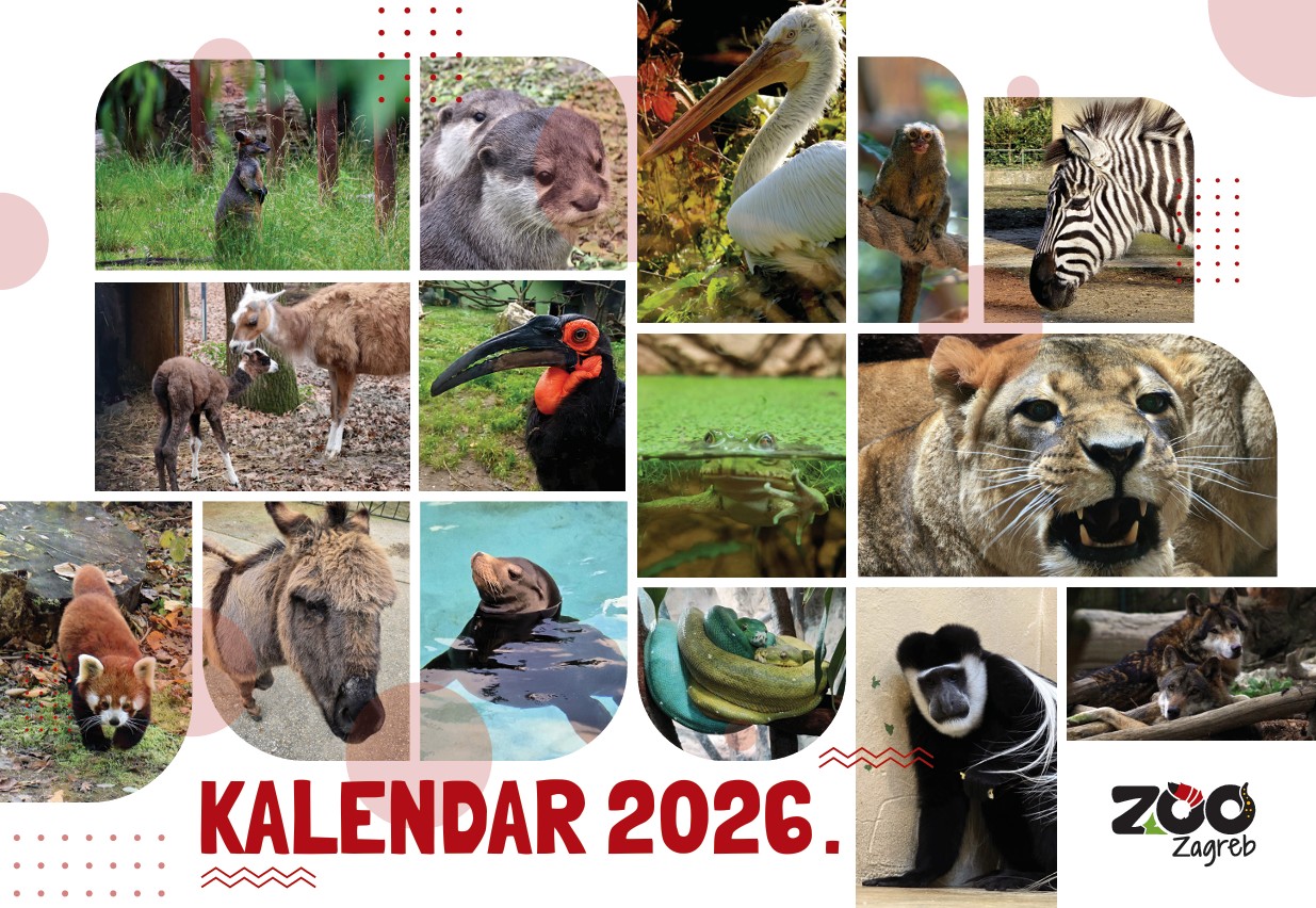 Naš kalendar za 2026. godinu