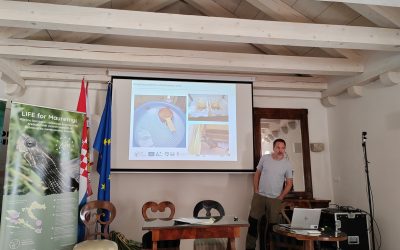 U Stonu o našem doprinosu očuvanju riječne kornjače