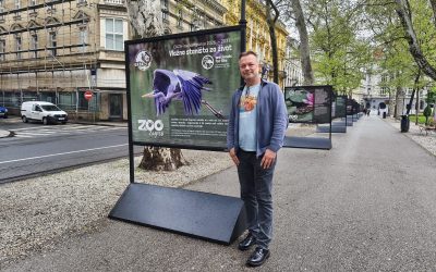 Na Zrinjevcu se može razgledati izložba o važnosti vlažnih staništa
