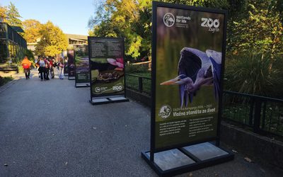 U Zoološkom vrtu izložba Vlažna staništa za život