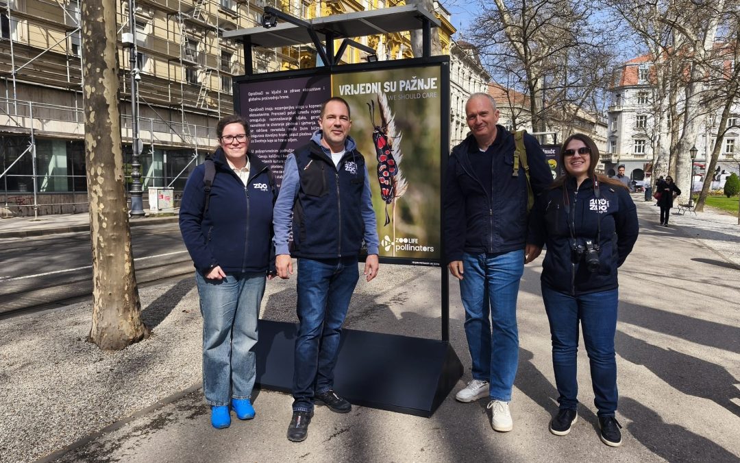Na Zrinjevcu edukativna izložba o važnosti očuvanja oprašivača